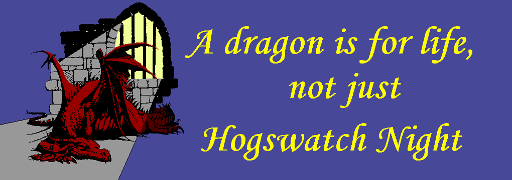 A dragon is for life, not just Hogswatch Night
