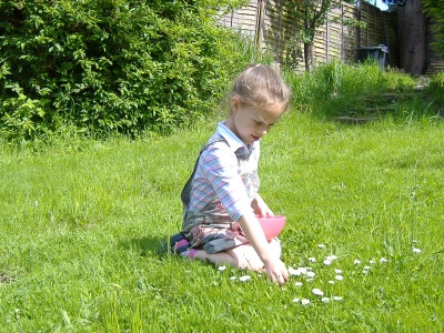 Collecting the raw materials for a daisy chain